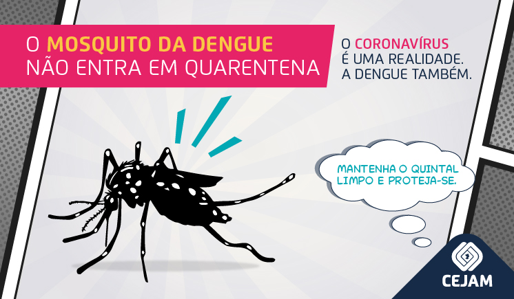 Campanha Dengue 2021